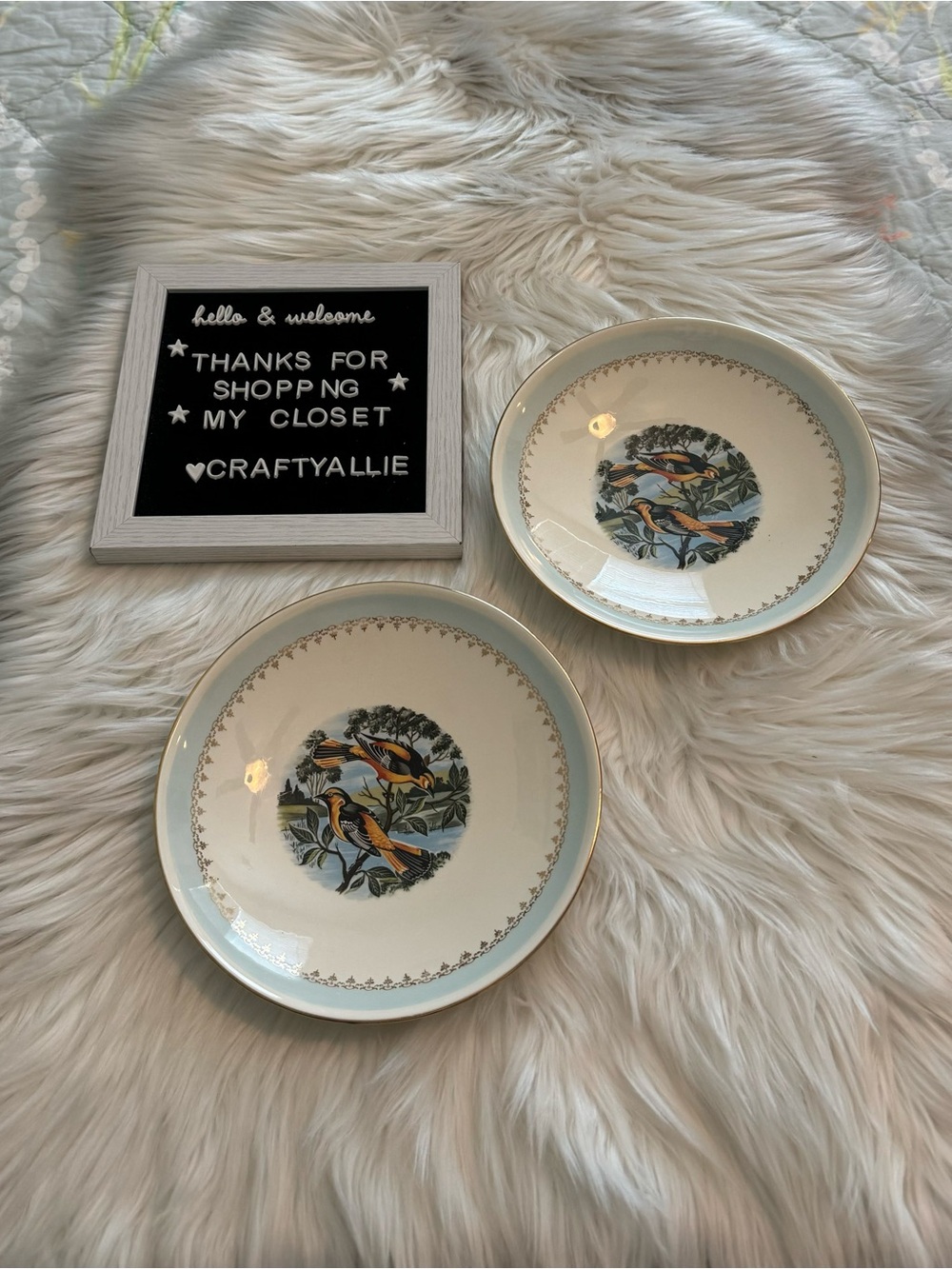 Pair of Vintage Homer Laughlin RHYTHM Bowl Plates in Oriole Bird Pattern